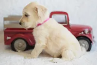 processed/c3792153-3353-4e86-af74-fb614b78d8b9/listing/24eb933f-bc35-403f-928c-0b30231ea77b/62e427c4-8517-4efa-bb38-56d118af311d