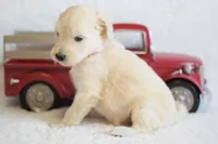 processed/c3792153-3353-4e86-af74-fb614b78d8b9/listing/24eb933f-bc35-403f-928c-0b30231ea77b/ce365efd-2246-4e83-8b40-9a67d8f174b5