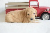 processed/c3792153-3353-4e86-af74-fb614b78d8b9/listing/9138a475-87a1-4f63-9fdd-a59c38f5b382/27a39280-77fb-4551-b475-621b45909cb4