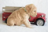 processed/c3792153-3353-4e86-af74-fb614b78d8b9/listing/9138a475-87a1-4f63-9fdd-a59c38f5b382/55dc5b3a-5435-4422-951f-f29d08482fd2