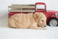 processed/c3792153-3353-4e86-af74-fb614b78d8b9/listing/9138a475-87a1-4f63-9fdd-a59c38f5b382/8cf13604-4a3d-47df-930c-f57d140fa1e1