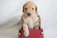 processed/c3792153-3353-4e86-af74-fb614b78d8b9/listing/9138a475-87a1-4f63-9fdd-a59c38f5b382/aa24a61d-830d-44ae-9224-51a86d75c881