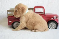 processed/c3792153-3353-4e86-af74-fb614b78d8b9/listing/9138a475-87a1-4f63-9fdd-a59c38f5b382/ae219b88-576e-4504-9c67-4f9ef9162908