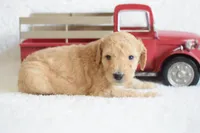 processed/c3792153-3353-4e86-af74-fb614b78d8b9/listing/9138a475-87a1-4f63-9fdd-a59c38f5b382/c6e2d05e-6780-4514-bbec-e8106dd34215