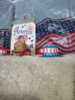 Purple, a female Chihuahua for sale in Coleman, TX – 3 of 8