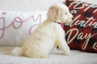 processed/c3792153-3353-4e86-af74-fb614b78d8b9/listing/e1ee5e86-d963-40ae-9c7a-8c99402558dc/5af93bbd-fbca-4e15-8f0d-d7f3100561b1