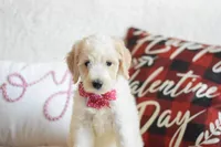 processed/c3792153-3353-4e86-af74-fb614b78d8b9/listing/e1ee5e86-d963-40ae-9c7a-8c99402558dc/65e5c49e-df07-41ac-bf36-61fd40f902ca