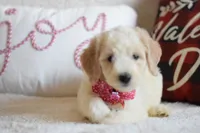 processed/c3792153-3353-4e86-af74-fb614b78d8b9/listing/e1ee5e86-d963-40ae-9c7a-8c99402558dc/6f11d5e6-08d7-4643-8afd-3fc6e41681c4