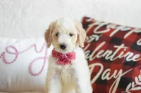 processed/c3792153-3353-4e86-af74-fb614b78d8b9/listing/e1ee5e86-d963-40ae-9c7a-8c99402558dc/992f47cc-365a-4bce-a38c-962ecb0f3de5