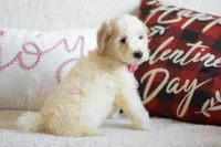 processed/c3792153-3353-4e86-af74-fb614b78d8b9/listing/e1ee5e86-d963-40ae-9c7a-8c99402558dc/c01cf566-5bcc-4d95-995e-2eadd59df25a