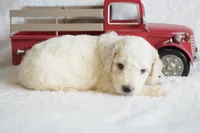 processed/c3792153-3353-4e86-af74-fb614b78d8b9/listing/fe055b47-a96d-4565-b85b-d38b83fcab87/05abaaa7-d103-4285-b04d-fb4ef5df5516