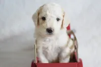 processed/c3792153-3353-4e86-af74-fb614b78d8b9/listing/fe055b47-a96d-4565-b85b-d38b83fcab87/0a3ee7fa-3733-4e1e-bafc-9a6489707816