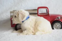 processed/c3792153-3353-4e86-af74-fb614b78d8b9/listing/fe055b47-a96d-4565-b85b-d38b83fcab87/beeeb4c8-a4fe-49f4-90bc-337360b915f2