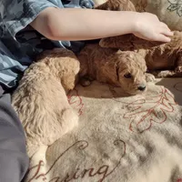 processed/c37ef8c7-66fa-4aa6-954d-c8ff8b0e4ea2/facility/0ecc474e-c81c-41bb-bc97-a95f180149c4