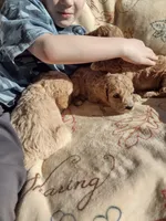 processed/c37ef8c7-66fa-4aa6-954d-c8ff8b0e4ea2/facility/0ecc474e-c81c-41bb-bc97-a95f180149c4