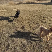 processed/c37ef8c7-66fa-4aa6-954d-c8ff8b0e4ea2/facility/6798b2a0-b050-47b2-abcd-ae76529fd5a1