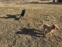 processed/c37ef8c7-66fa-4aa6-954d-c8ff8b0e4ea2/facility/6798b2a0-b050-47b2-abcd-ae76529fd5a1