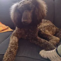 processed/c37ef8c7-66fa-4aa6-954d-c8ff8b0e4ea2/facility/9812300d-5e43-4a53-a956-4bf61c0a106f