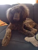 processed/c37ef8c7-66fa-4aa6-954d-c8ff8b0e4ea2/facility/9812300d-5e43-4a53-a956-4bf61c0a106f