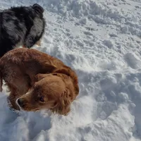 processed/c37ef8c7-66fa-4aa6-954d-c8ff8b0e4ea2/facility/b2c3b70d-e51d-48ec-94c9-a7fed1f757ce