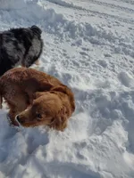 processed/c37ef8c7-66fa-4aa6-954d-c8ff8b0e4ea2/facility/b2c3b70d-e51d-48ec-94c9-a7fed1f757ce