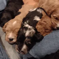 processed/c37ef8c7-66fa-4aa6-954d-c8ff8b0e4ea2/facility/cfcf52d4-6c21-4d35-ac1f-15225a8870cf