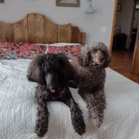 processed/c37ef8c7-66fa-4aa6-954d-c8ff8b0e4ea2/facility/d3fb6d0b-42dd-4606-af84-f40601c23ea7