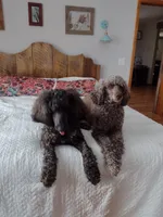 processed/c37ef8c7-66fa-4aa6-954d-c8ff8b0e4ea2/facility/d3fb6d0b-42dd-4606-af84-f40601c23ea7