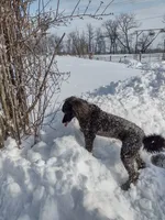 processed/c37ef8c7-66fa-4aa6-954d-c8ff8b0e4ea2/facility/d8446776-914c-485c-bd88-904f19847910