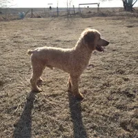 processed/c37ef8c7-66fa-4aa6-954d-c8ff8b0e4ea2/facility/f67c4390-830a-4342-9df3-c352c198c418