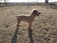 processed/c37ef8c7-66fa-4aa6-954d-c8ff8b0e4ea2/facility/f67c4390-830a-4342-9df3-c352c198c418