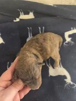 processed/c37ef8c7-66fa-4aa6-954d-c8ff8b0e4ea2/listing/2711b854-0c66-4b72-87d1-63fc3556b2df/42bce619-c1b0-4929-b04c-bb74b55bd212