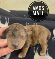 processed/c37ef8c7-66fa-4aa6-954d-c8ff8b0e4ea2/listing/2711b854-0c66-4b72-87d1-63fc3556b2df/71b14c8c-6327-4946-9118-fa9db39d9434