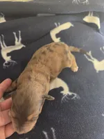 processed/c37ef8c7-66fa-4aa6-954d-c8ff8b0e4ea2/listing/6a31e1de-b01b-4743-9e99-99b1e80b250a/4e50fa95-5832-4197-943e-a1d6682893b6