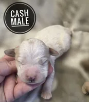 processed/c37ef8c7-66fa-4aa6-954d-c8ff8b0e4ea2/listing/8bbbfbe2-71bf-48fc-9937-0579e991e920/46c7ecd8-190e-4e5f-8162-b6f64e8f18c9