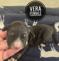 processed/c37ef8c7-66fa-4aa6-954d-c8ff8b0e4ea2/listing/a5a51d4f-8533-47cd-af33-e64188306c49/56e4924d-d764-47a3-a50b-d324014db966