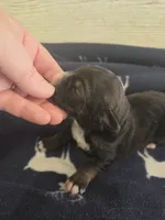 processed/c37ef8c7-66fa-4aa6-954d-c8ff8b0e4ea2/listing/a5a51d4f-8533-47cd-af33-e64188306c49/6362594c-b714-4a65-baea-604a8b4ff336