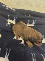 processed/c37ef8c7-66fa-4aa6-954d-c8ff8b0e4ea2/listing/d76be36c-edcd-4caf-acc6-a7b8b01399e0/b8a287fb-557d-4883-b482-c2572a395588