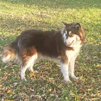 processed/c3890d0c-fb27-486a-a254-b52840d5a59b/facility/00381703-7eb0-4b42-b085-8551c16f0114