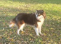 processed/c3890d0c-fb27-486a-a254-b52840d5a59b/facility/00381703-7eb0-4b42-b085-8551c16f0114