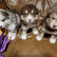 processed/c3890d0c-fb27-486a-a254-b52840d5a59b/facility/528a73e0-f0e7-4403-afcf-abef2653448a