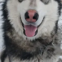 processed/c3890d0c-fb27-486a-a254-b52840d5a59b/facility/85cb50aa-90e4-47f0-ad4f-773e3584ebe4