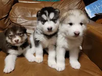 processed/c3890d0c-fb27-486a-a254-b52840d5a59b/facility/b76bda06-9697-4b64-9494-5d4e6cab0bd5