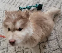 processed/c3890d0c-fb27-486a-a254-b52840d5a59b/listing/eb56a49d-60f0-40d4-b1c2-8634d9370d97/88cca483-fb34-4a82-992c-ec51e0eb7270