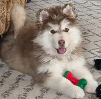 processed/c3890d0c-fb27-486a-a254-b52840d5a59b/listing/eb56a49d-60f0-40d4-b1c2-8634d9370d97/a79d1623-6178-4e74-8a1c-051135c4b516