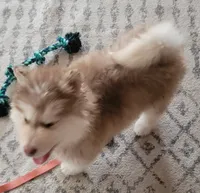 processed/c3890d0c-fb27-486a-a254-b52840d5a59b/listing/eb56a49d-60f0-40d4-b1c2-8634d9370d97/c0dc48f4-f44a-47f8-9148-5bbd63038a26