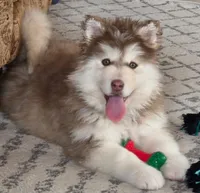 processed/c3890d0c-fb27-486a-a254-b52840d5a59b/listing/eb56a49d-60f0-40d4-b1c2-8634d9370d97/dc22ec4a-8f3f-4017-9f7d-e37c1681cf7c