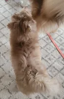 processed/c3890d0c-fb27-486a-a254-b52840d5a59b/listing/eb56a49d-60f0-40d4-b1c2-8634d9370d97/f6edfb9f-6374-4e0c-bfe1-e4fc5e864d8e