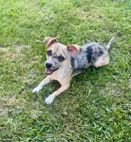 processed/c38d8192-3fa4-4d4e-a429-811c276aba1f/listing/bf3cc9c1-23f6-4738-8749-c7b81fc3e550/68b52f26-64ef-4fff-8c0f-5ecda0bda836