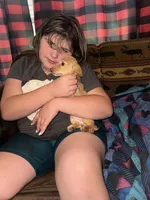 Sally. Akc reg, a female Miniature Dachshund for sale in Lovely, KY – Photo 8 of 8